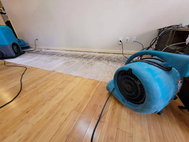 Professional Water Damage Repair technician working in Youngsville, PA